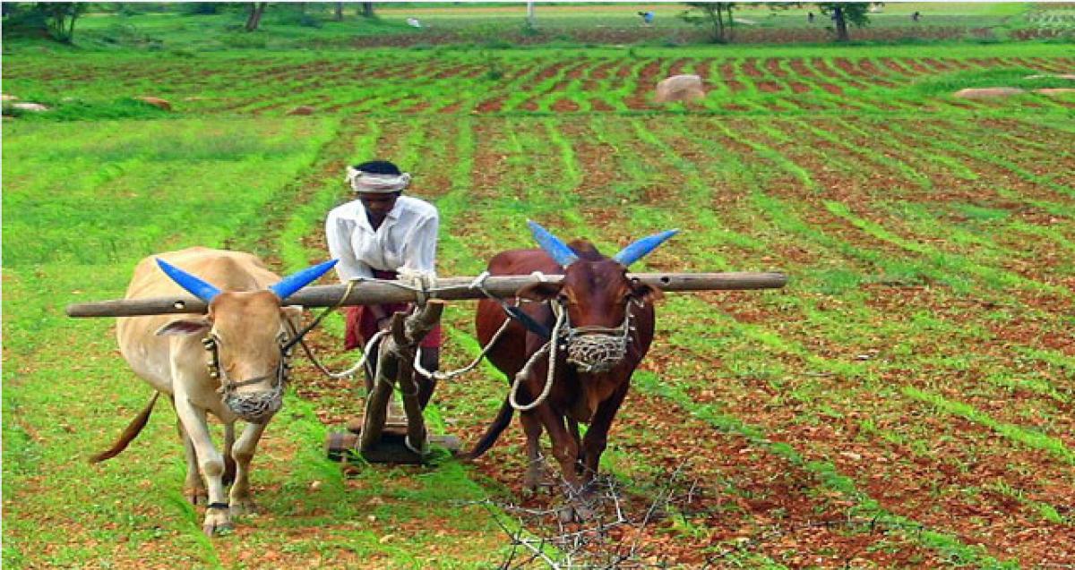 Bail out farmers from demonetisation crisis