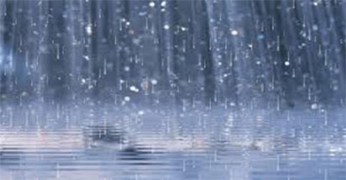 Light to moderate rain forecast