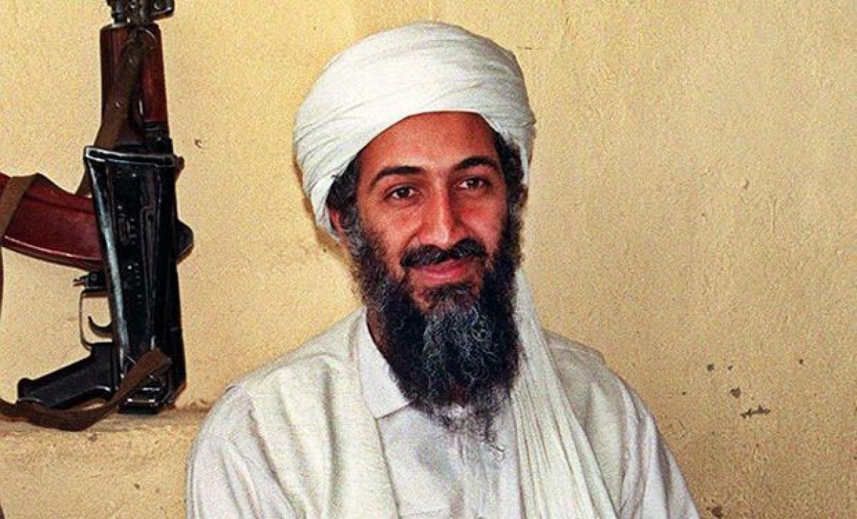Osama bin Laden relatives killed in private jet crash in Britain: reports
