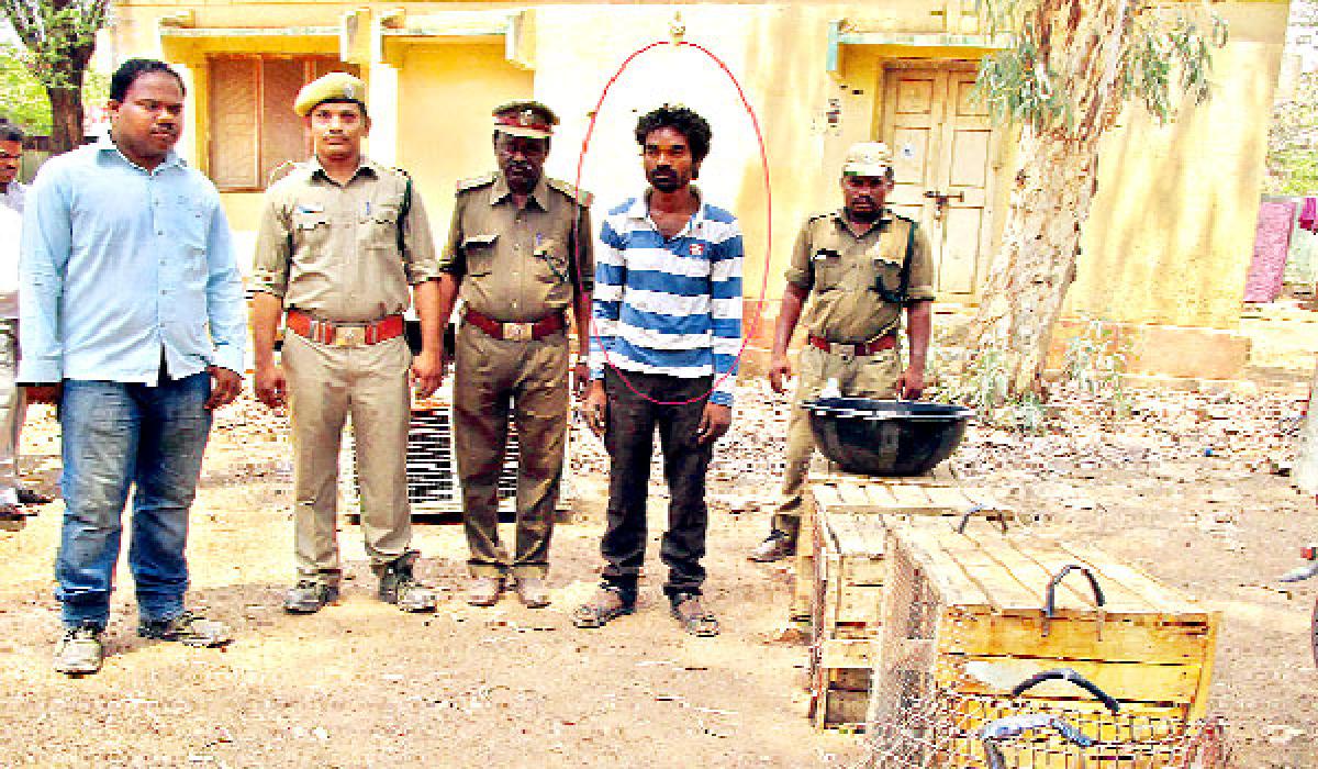 One held, wild animals recovered in atmakuru