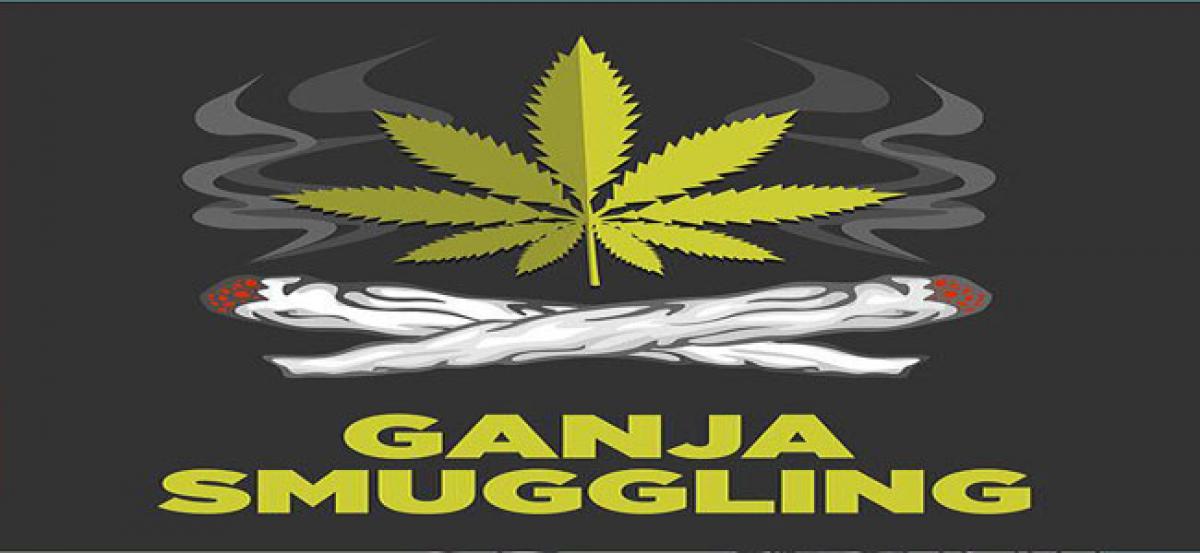 Most wanted ganja smuggler held