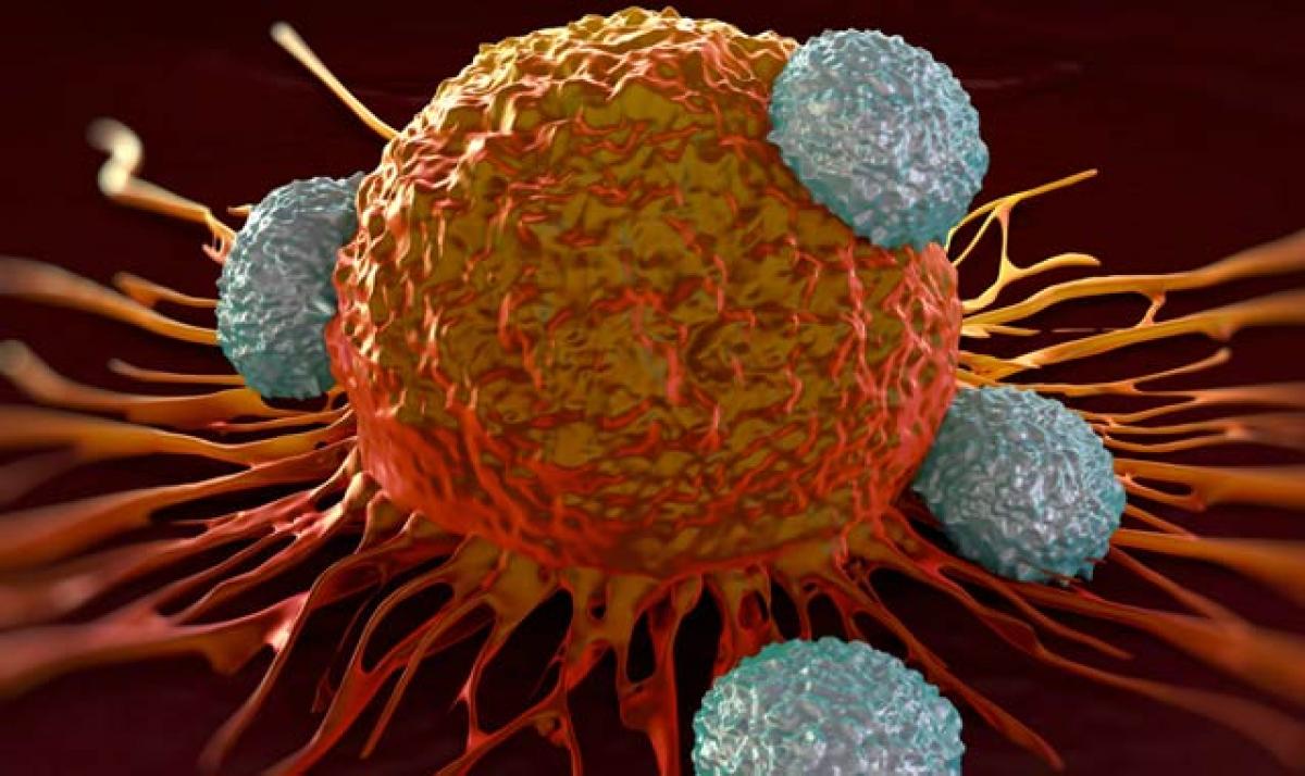 Indian-American scientist engineers T-cells to treat pancreatic cancer