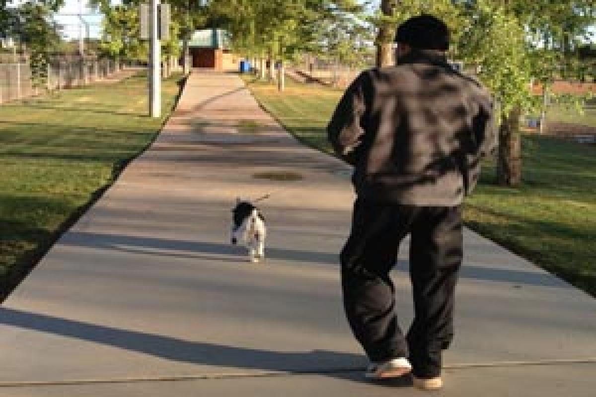 Your walk may predict decline in memory, thinking