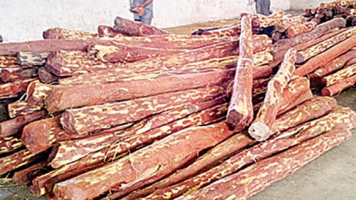 32 Tamil Nadu woodcutters held