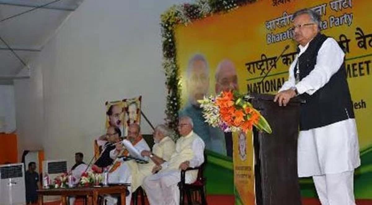 Raman Singh projects states views at BJP national executive meet