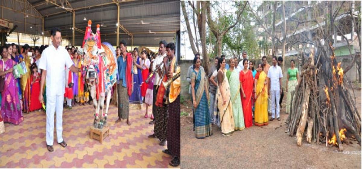 Sankranti festivities kick off