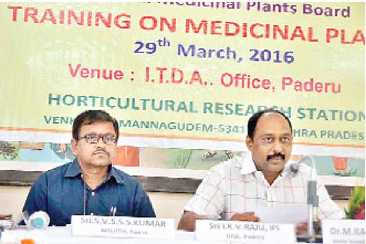 Encourage plantation of medicinal saplings: DFO