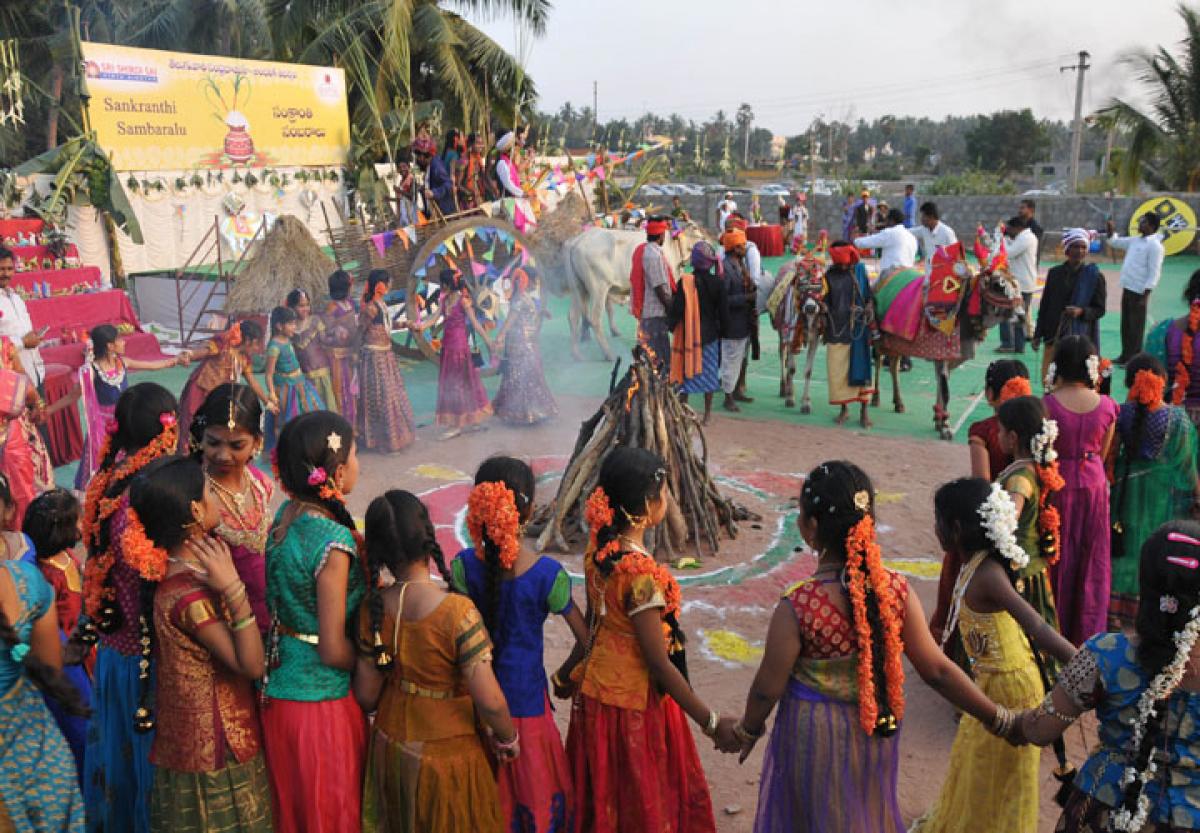 Fun and frolic mark Sankranti festivities