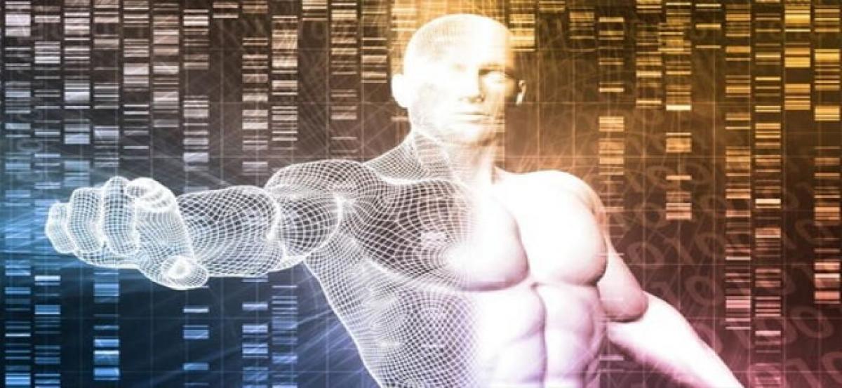 Muscle memory exists at DNA level: Study
