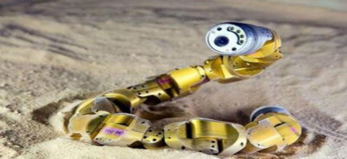 Soft robot that crawls like snakes developed