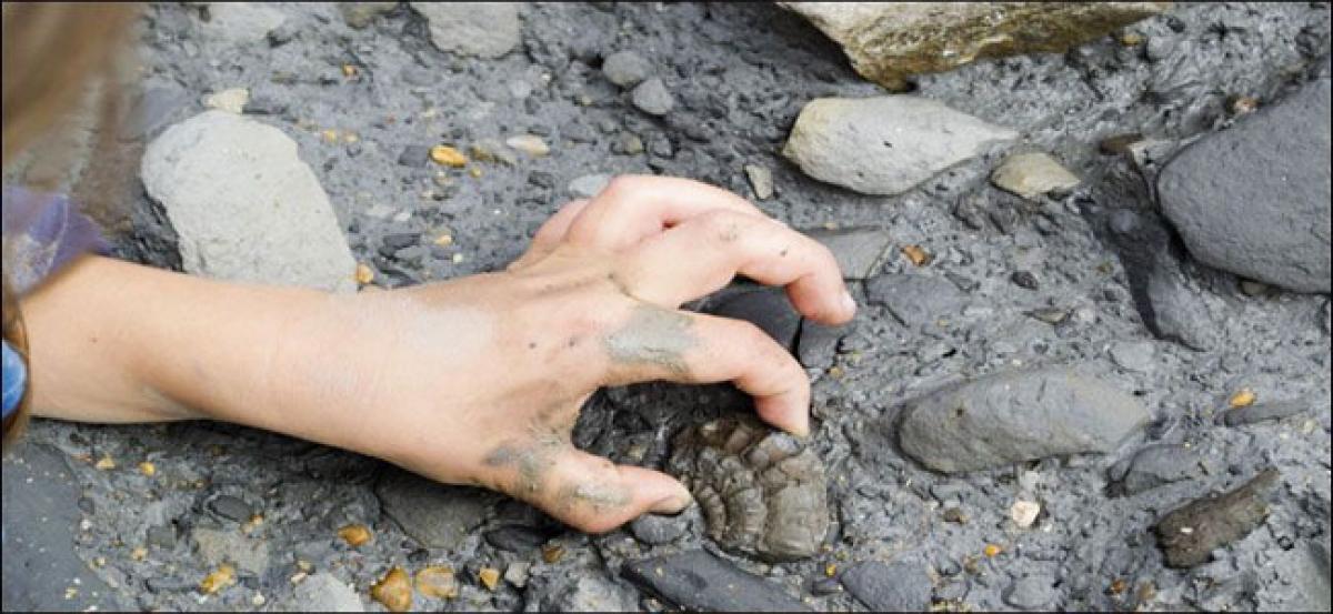 10-year-old helps discover ancient fish species’