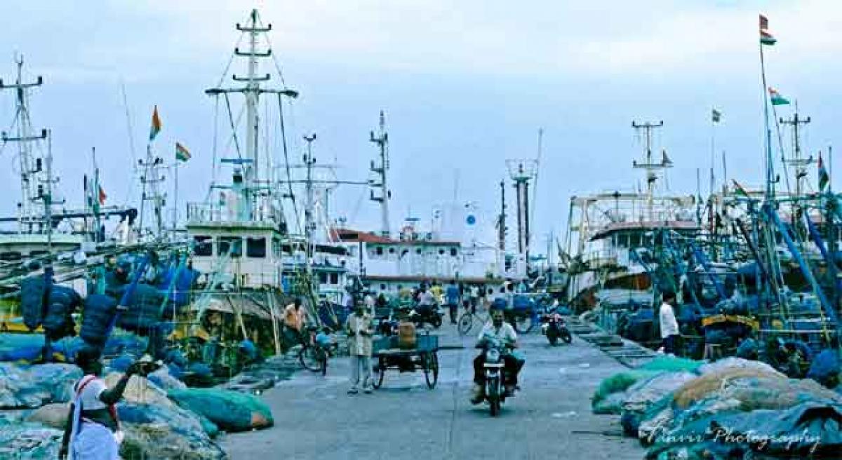 AP Govt takes up mini fishing harbour with Centre