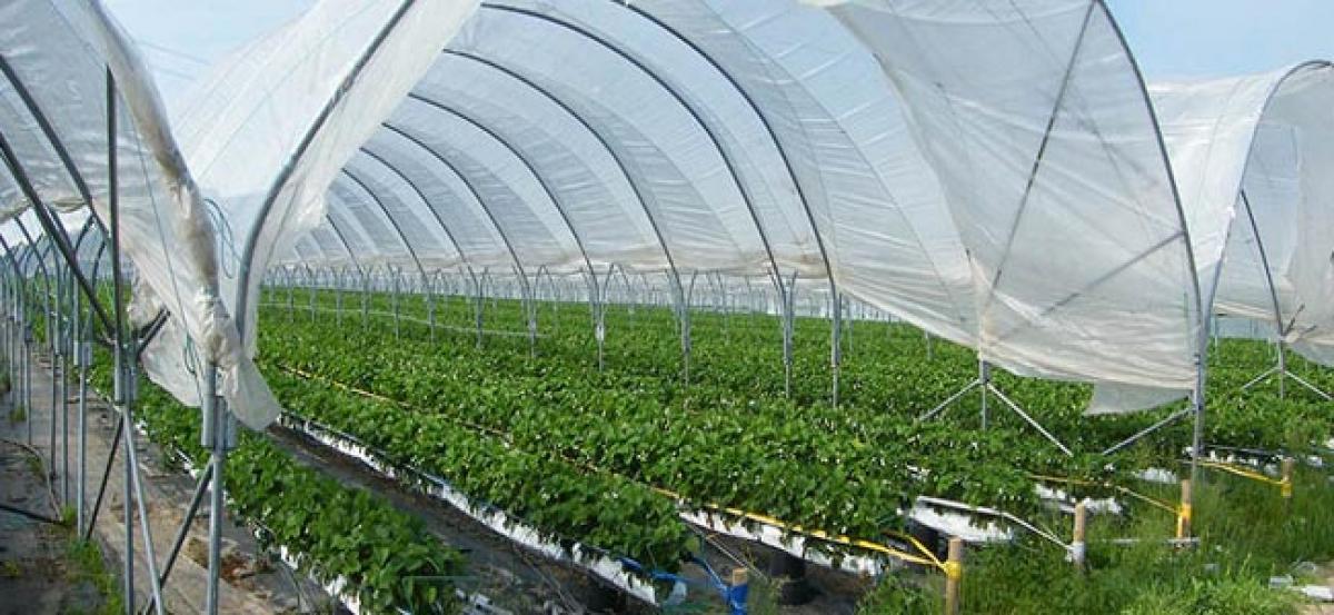 Huge Untapped Market Offering Growth Potential in India’s Crop Protection Industry: Ken Research