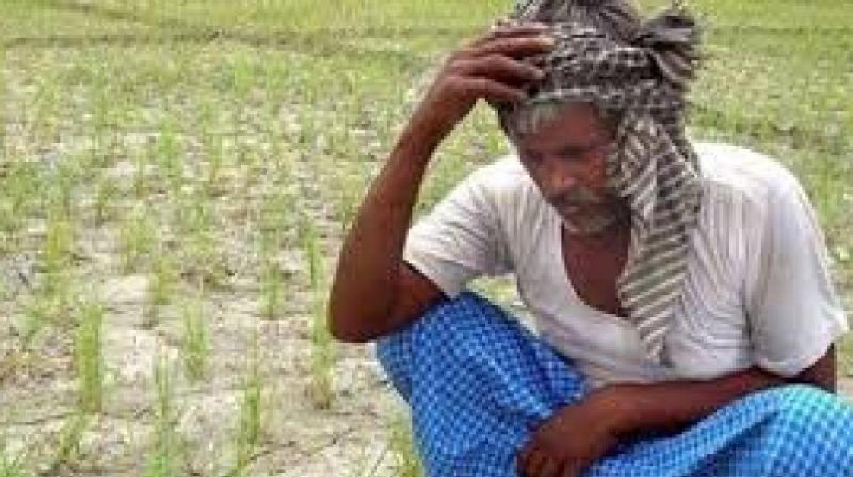 Farmers suicide is sensitive matter, will examine reason behind it: SC