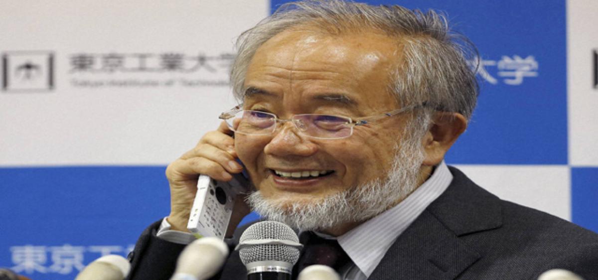 Japan’s Ohsumi wins Nobel for cell recycling work