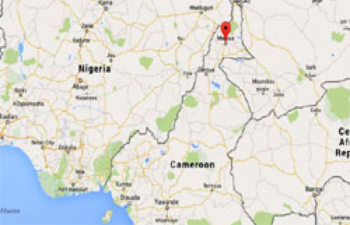 Suicide bombing kills 19 in Cameroon; suspected bomber a teenage girl