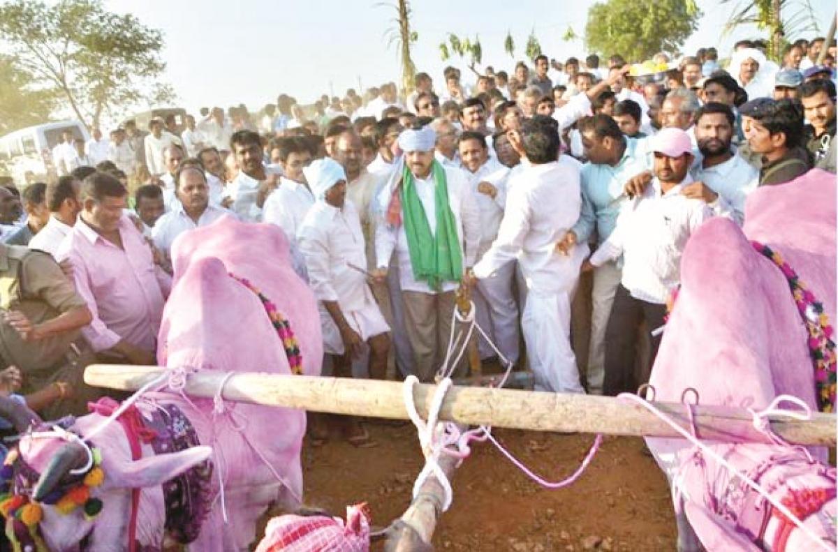 State committed to help farm sector: Tummala