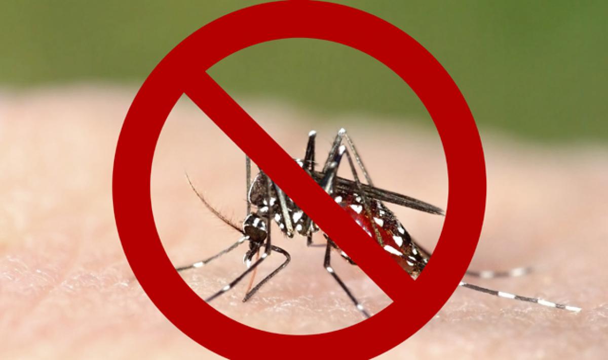 A step towards Chikungunya-free India
