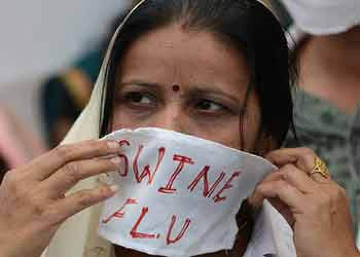 Six new cases of swine flu in city