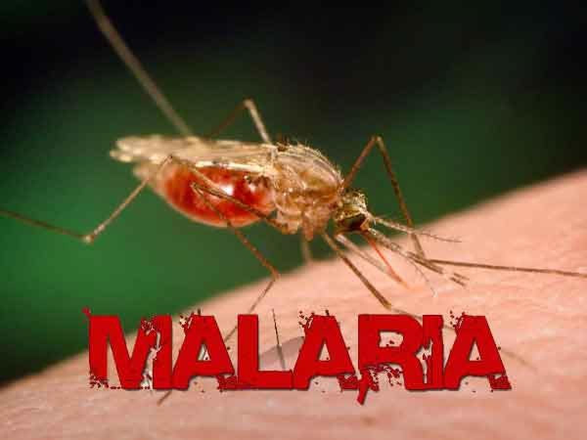 5-year-old dies of malaria  in agency