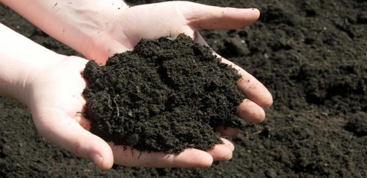 How soil help curb global warming?