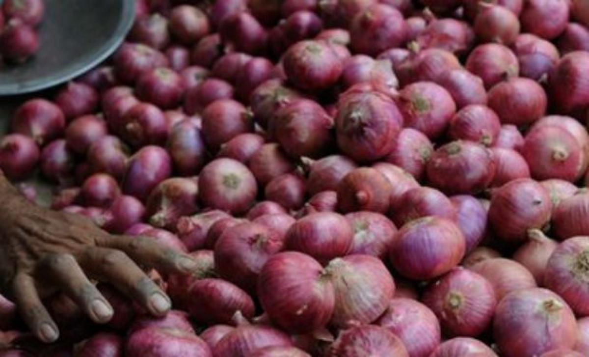MMTC floats tender for import of 10,000 tonnes of onion