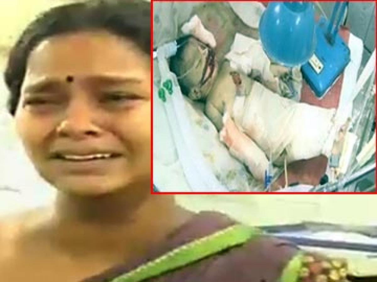 Rats bite infant to death at Guntur Govt hospital