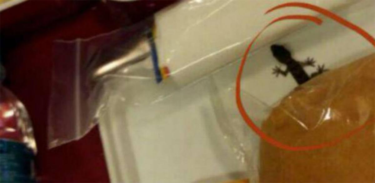 Air India denies reports of lizard in food tray