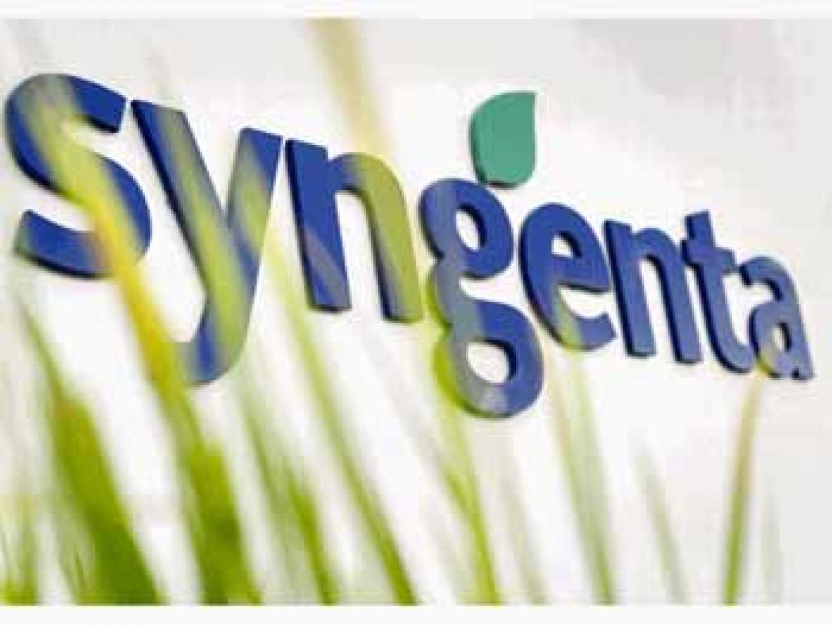 Syngenta looks to focus on TS market