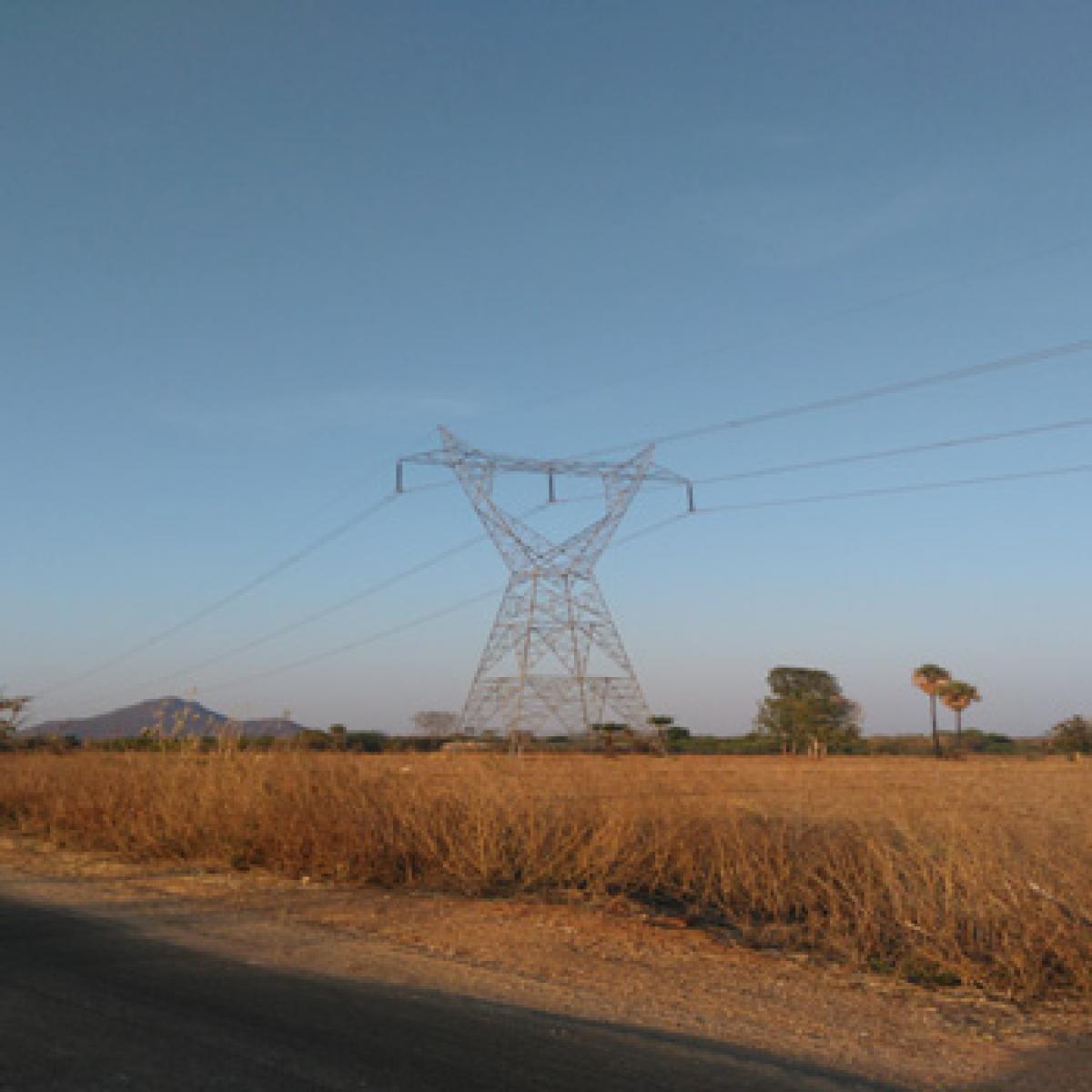 Nine hour power supply to farm sector begins in Palamur