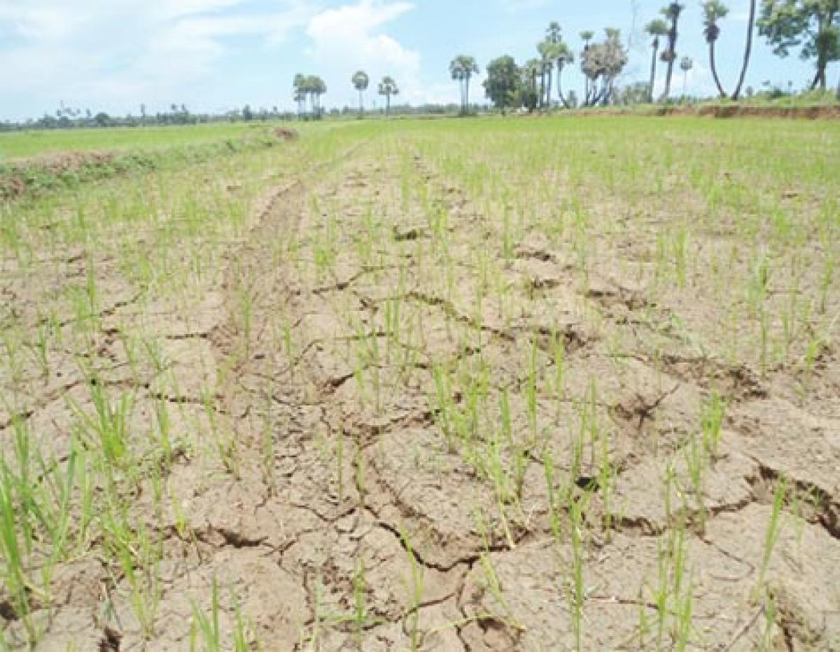 Uncertainty over kharif yield in upland areas