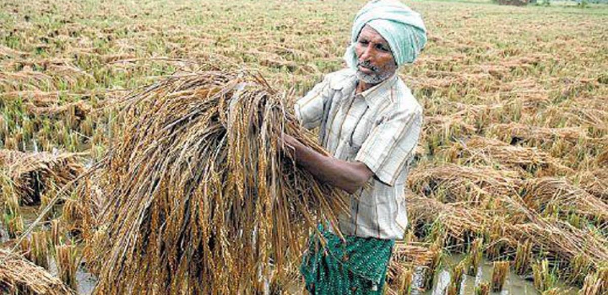Telangana farmers in deep distress