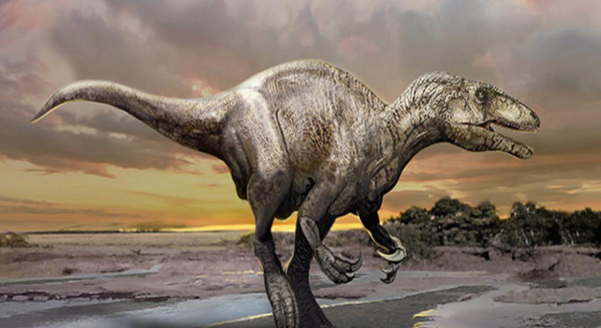 Dinosaur species may shed new light on megaraptorids