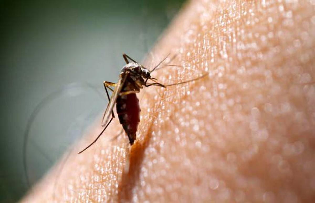 European drug regulators approves worlds first malaria vaccine