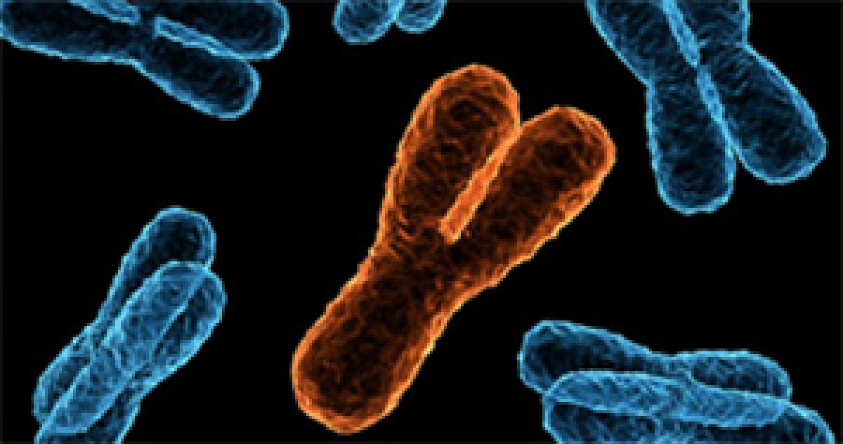 Funny side: The Y chromosome makes men love big numbers