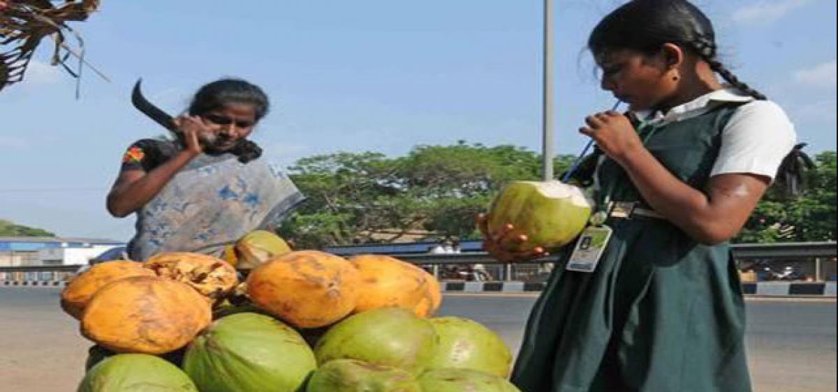 People told to keep hydrated as Khammam temperatures cross 46 degrees Celsius