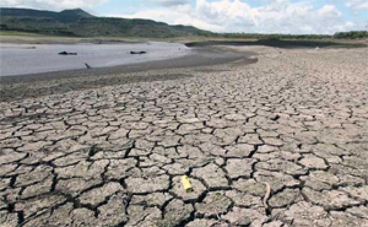 El Nino weather pattern has trimmed rainfall: IMD