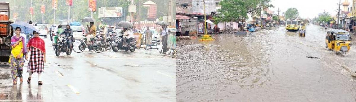 Rains lash Krishna district