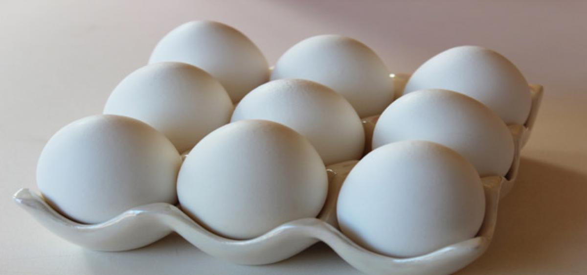 Hygiene critical to prevent food poisoning from eggs