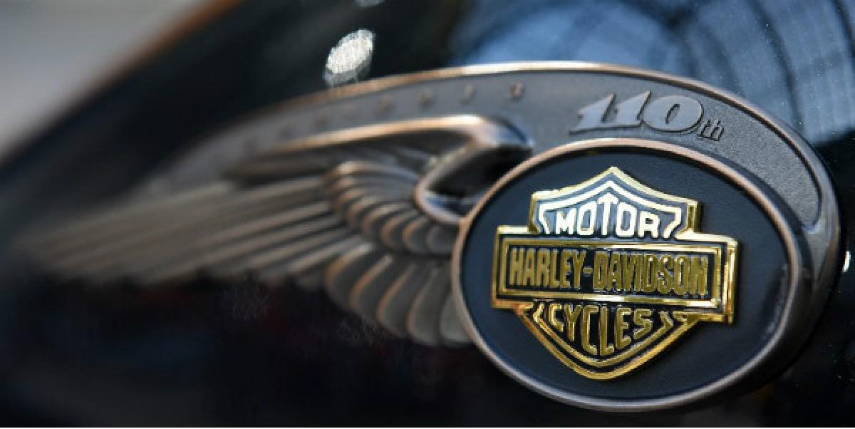 Harley and Davidsons documentary-drama series will air in India from October 14