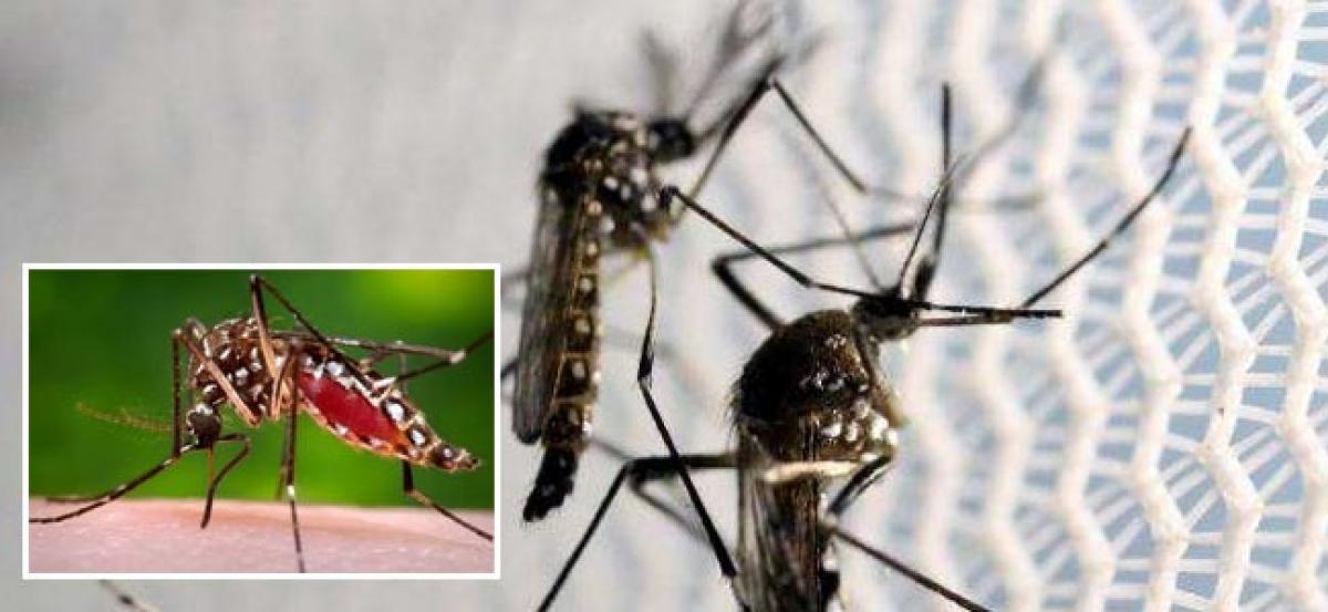 Two zika virus in Cuba contracted locally