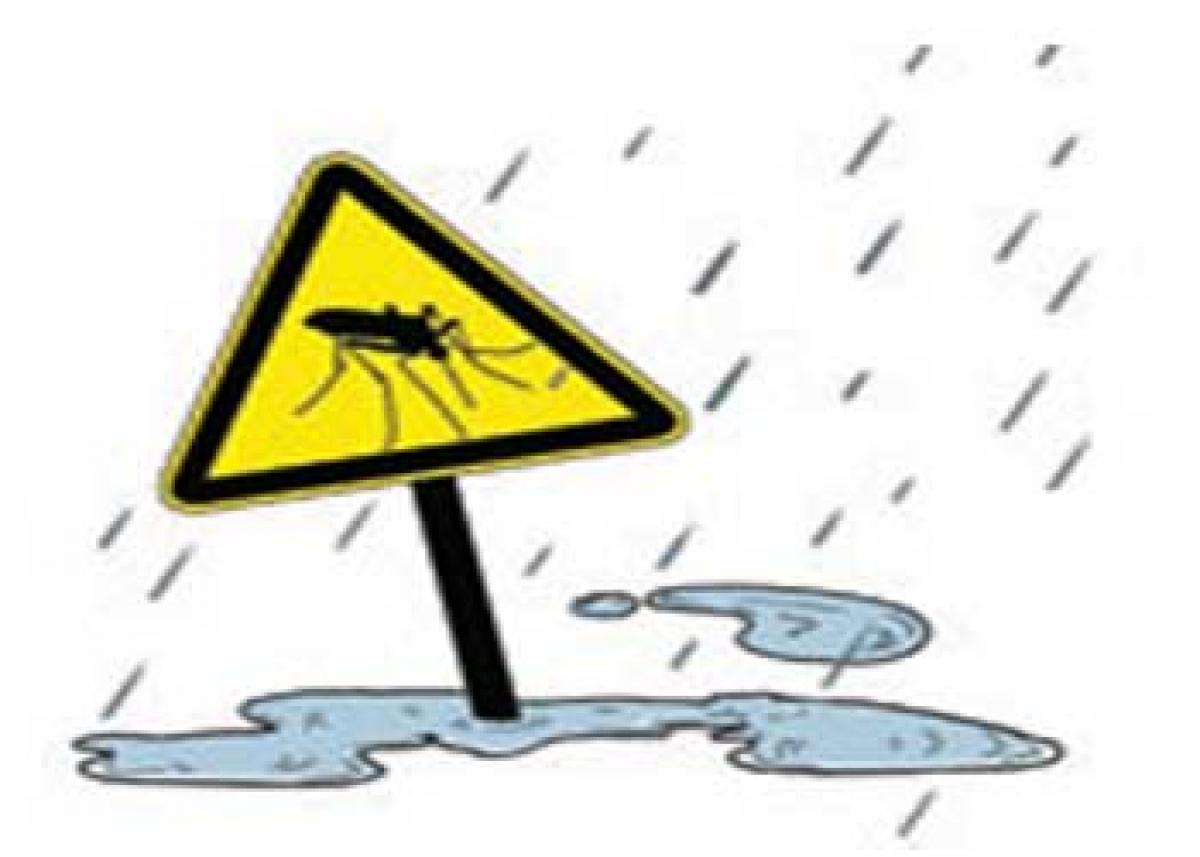 Dengue, another climate alert
