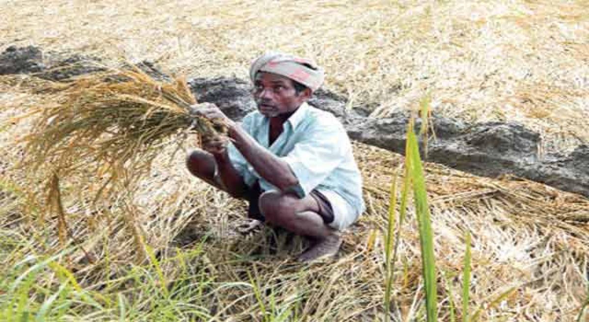 Telangana Govt to speed up farm loan waiver