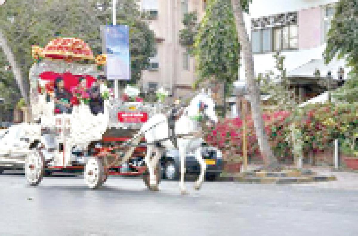 No Victoria rides in Mumbai after a year