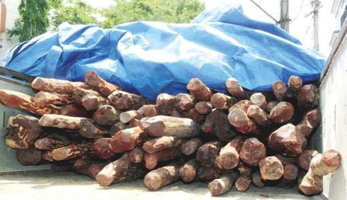 Ill-equipped cops face red sanders smugglers