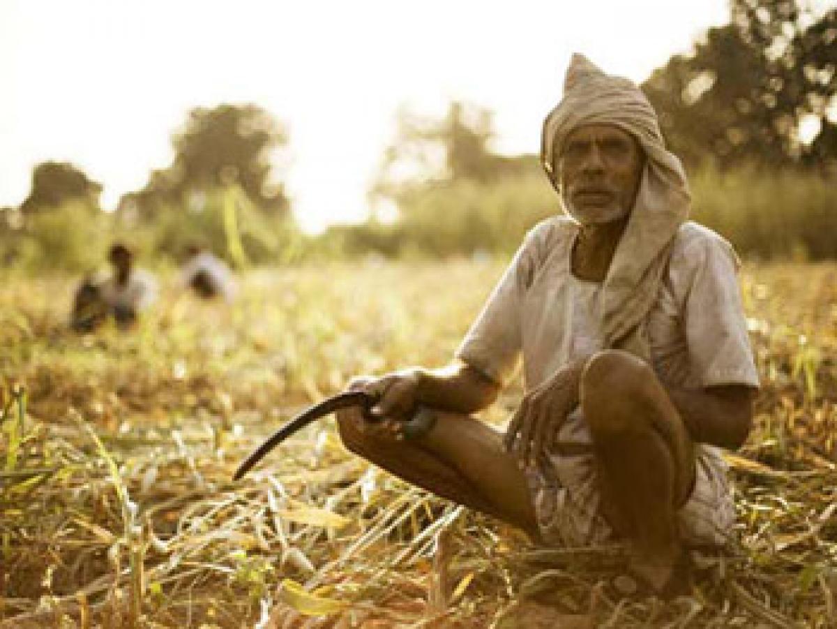 Doubling farmers’ income certainly a Herculean task