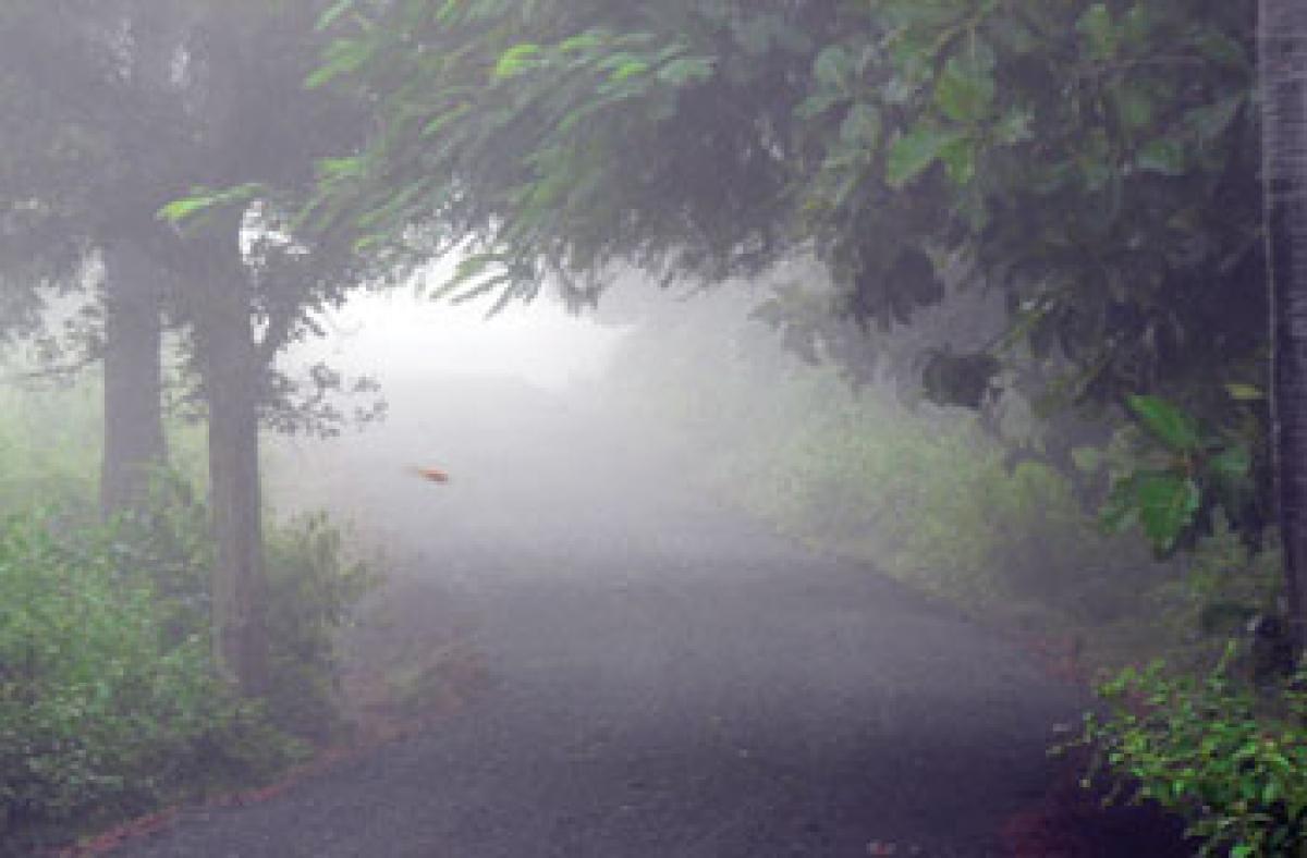 Tourists make a beeline to Lambasingi, Araku