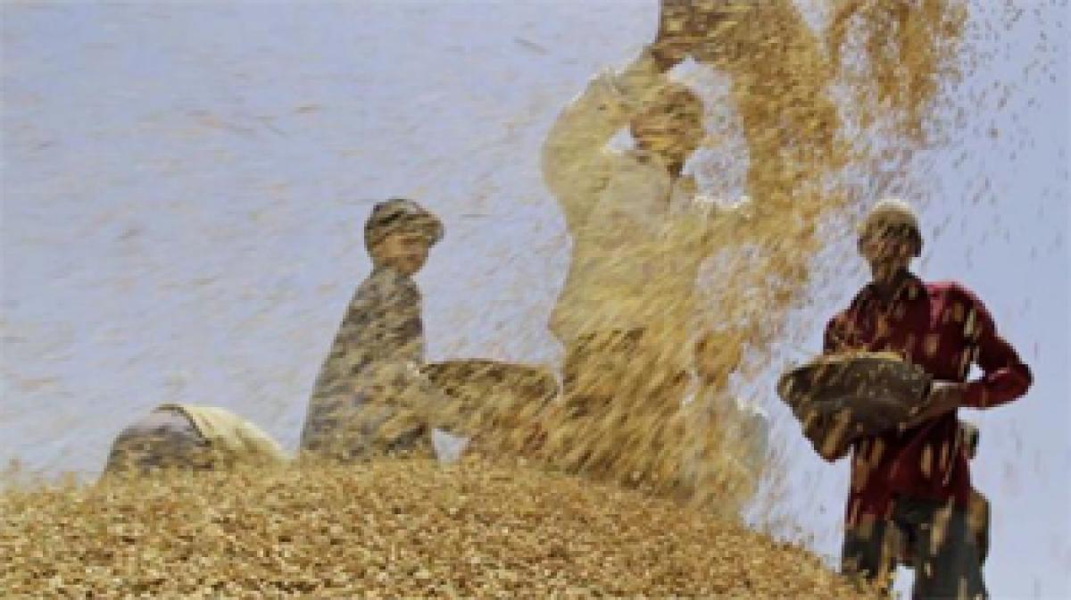 Gangrape case settled for 30 mounds of wheat in Pakistan