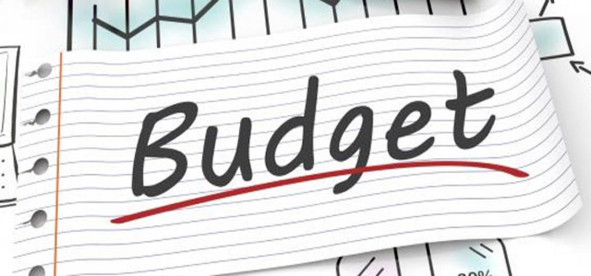 Budget aims at decentralisation