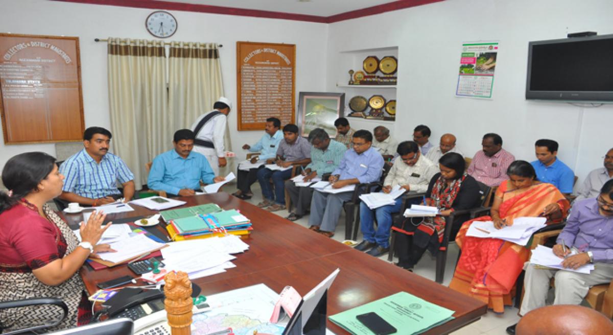 Monitor growth of saplings, District Collector tells officials.